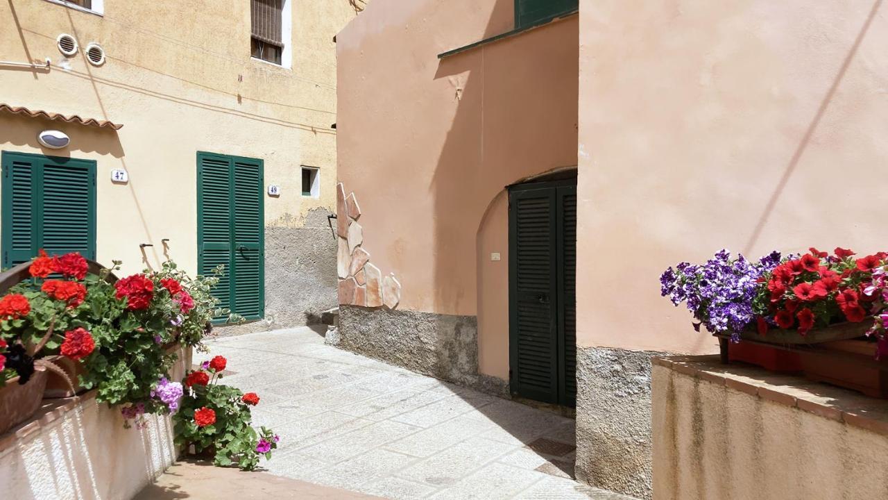 La Casa Di Rosa - Argonautivacanze Rio Marina Exteriör bild